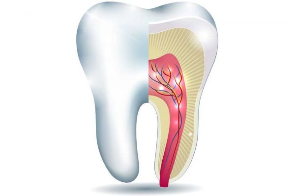 Endodonzia